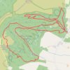 Ballinastoe Wood MTB Loop GPS track, route, trail